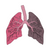 Оздоровительная программа для профилактики и купирования симптомов острых заболеваний дыхательной системы (ОРЗ, острый бронхит, воспаление легких)